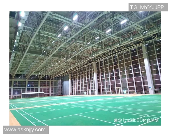 西安羽毛球队整体表现分析：压制与失误的双重影响探讨