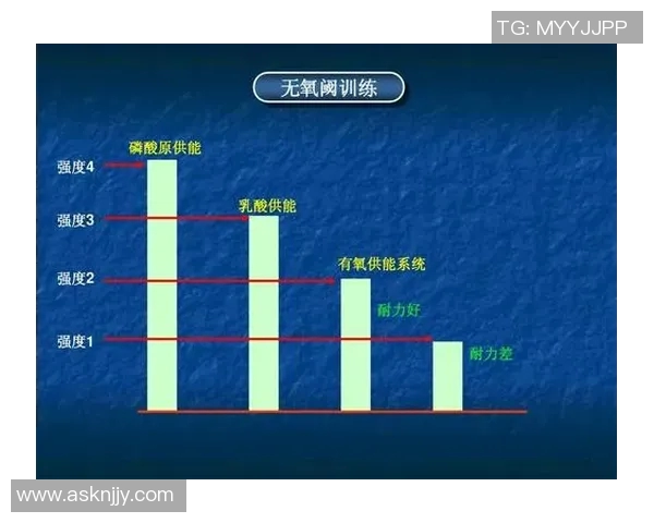 武汉羽毛球队控制打法深度解析与战术运用探讨