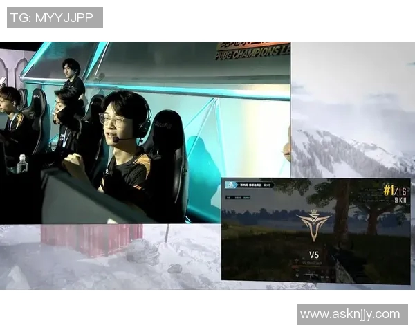 聚焦英雄联盟V5战队团队协作的成功之道与策略分析