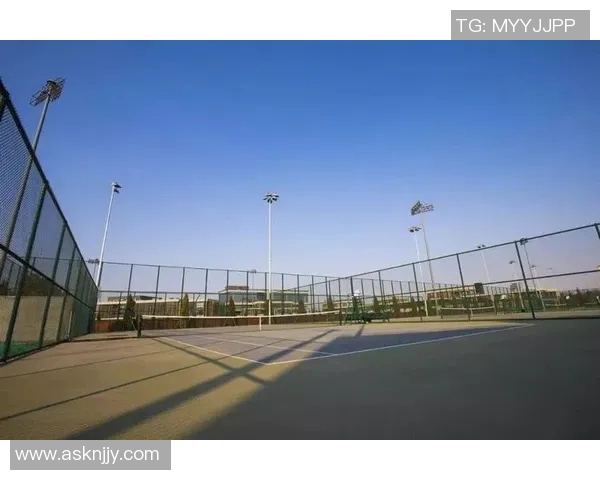 西安网球队创造历史新高速度排名引发全国关注与热议 西安网球队创造历史新高速度排名引发全国关注与热议