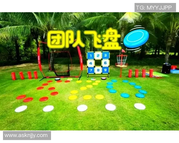 飞盘战术揭秘：成都飞盘队如何运用快攻制胜对手