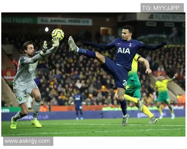 热刺与诺维奇精彩对决瞬间回顾图片集锦分享