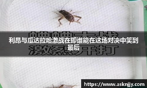 芒果体育app